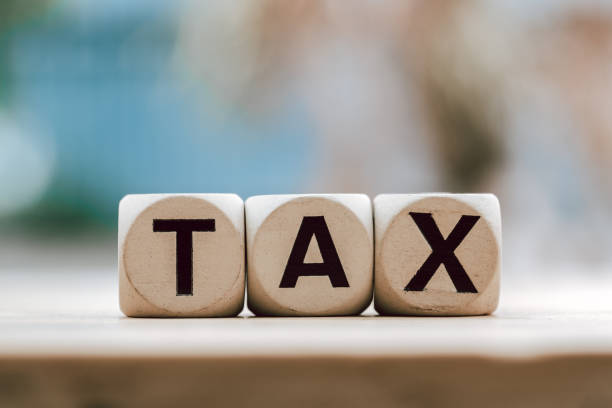 S Corporation Owner Subject To Self-employment Tax