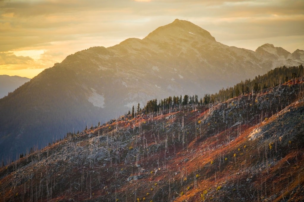 Retaining Rights With A Charitable Conservation Easement